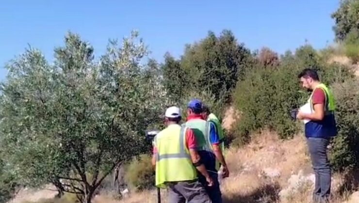 Akbelen Direnişi ve Zeytinlik Taşınmasına Karşı Myk Çevresinde YK Enerjiyle Mücadele
