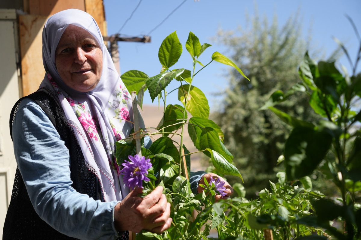 Gelin Geldiği Evi Kendi Evi Gibi Sahiplendi: Meyve Ağaçlarıyla Dolu Mahalle Sokağı