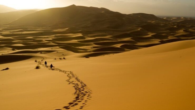 Hijrah Hub: Mekke’den Medine’ye Manevi Bir Yolculuk ve Akademik Destek