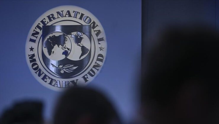 IMF Raporu: Özel Sektör Kredileri Düşerken Kamu Borcu Yükseldi – Küresel Borç Dinamikleri
