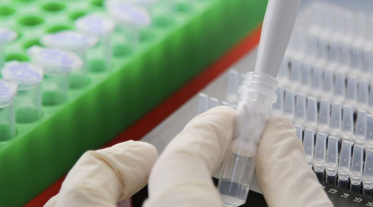 Kanser Aşısının Klinik Olarak Uygulanabilirliği: Preklinik Başarı ve Planlanan İlk Uygulama