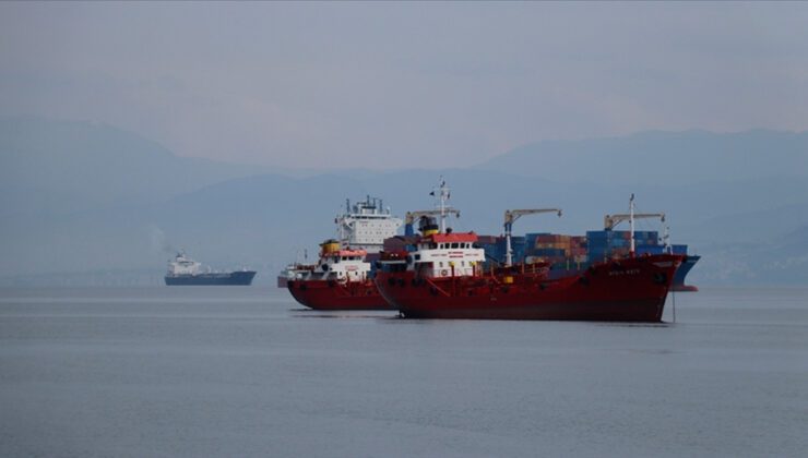 Limân Devleti Denetimi Yönetmeliği: Uygulama, Görevler ve Yasaklar