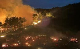 Muğla ve Antalya’da Yangınla Mücadelede Son Dakika: 218 Ev Boşaltıldı, 582 Kişi Tahliye Edildi
