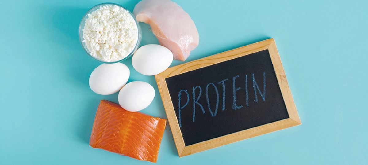 Protein Kapsayıcı mı? Gerçekler ve Dengeye Dair Bilinmesi Gerekenler