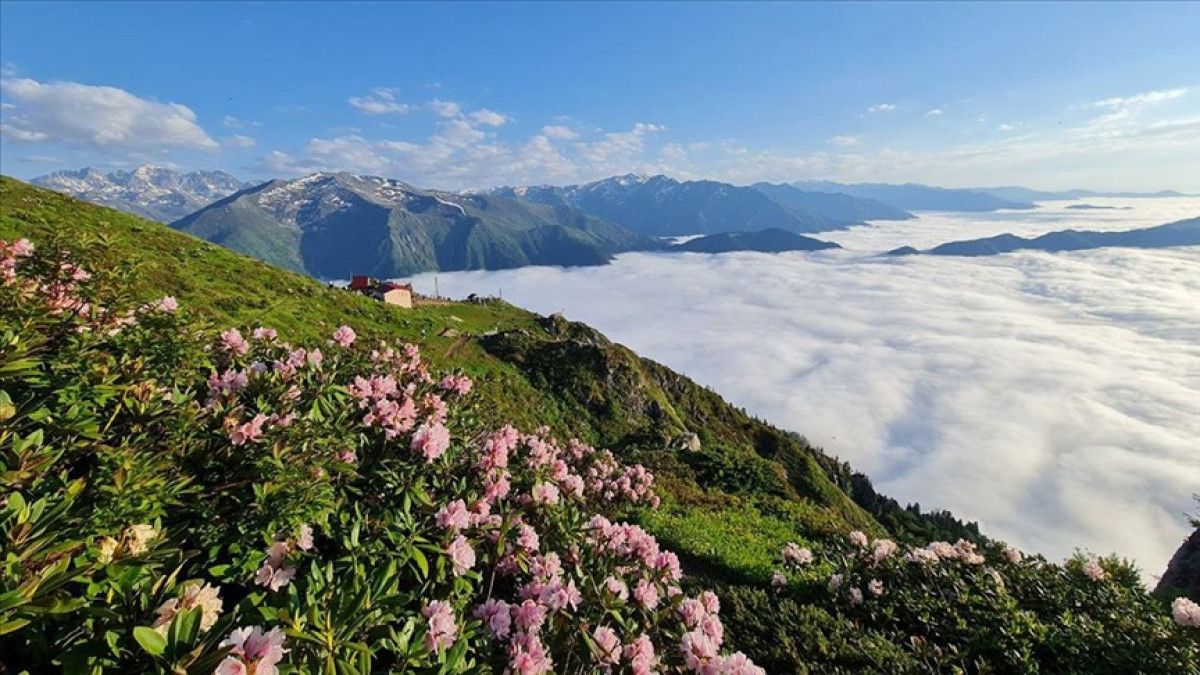 Sis Deniziyle Karadeniz: Eylül Ayında Fotoğraf Tutkunlarına Özel Rotlar