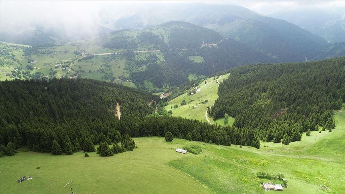 Sis Deniziyle Karadeniz: Eylül Ayında Fotoğraf Tutkunlarına Özel Rotlar