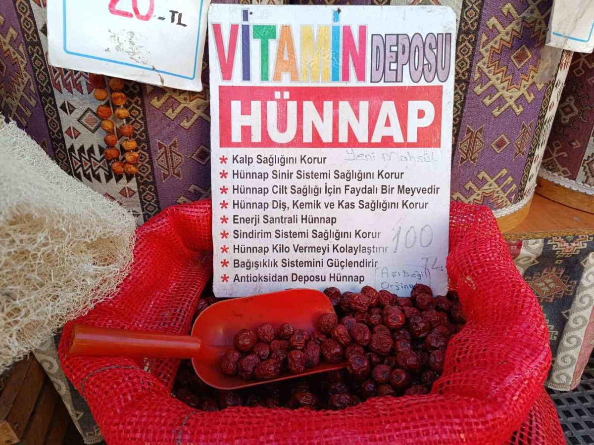 Söğütçük Hünnapları: Büyük Fidanlerle Yükselen Üretim ve Doğal Yöntemler