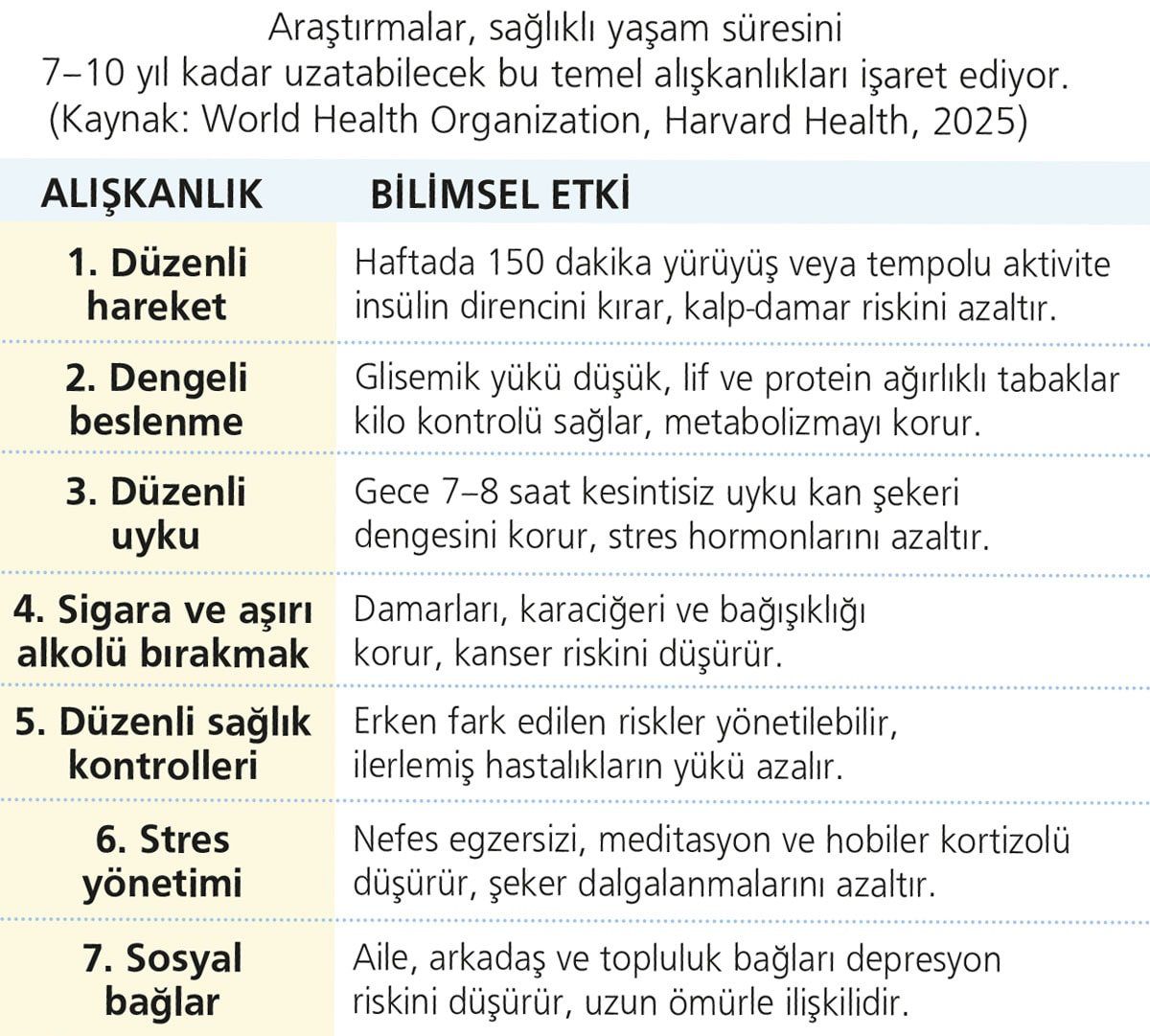 Diğer önemli başlıklar