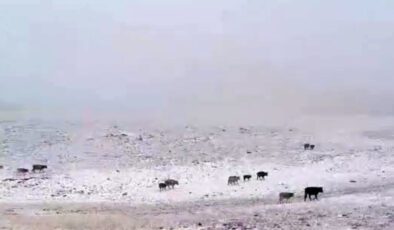 Yedigöller’de İlk Kar Sezonuna Merhaba: Doğa Şaşkın, Ziyaretçiler Keyifli